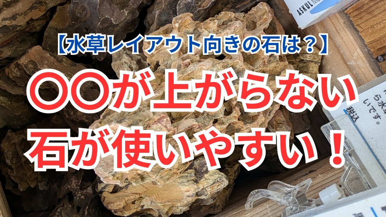 【水草水槽向きの石】石の水質変化に注意すると解像度が上がります！