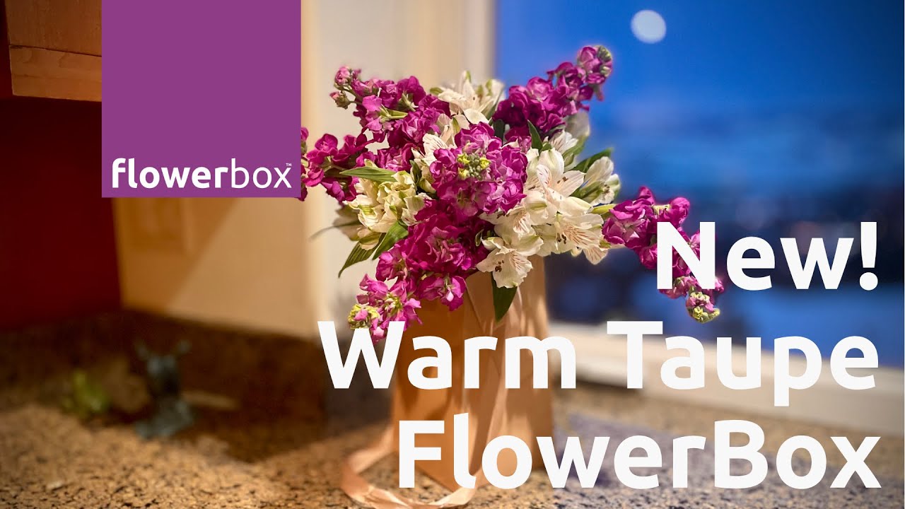 New! The Warm Taupe Eco-Friendly Paper Flower Vase by FlowerBox