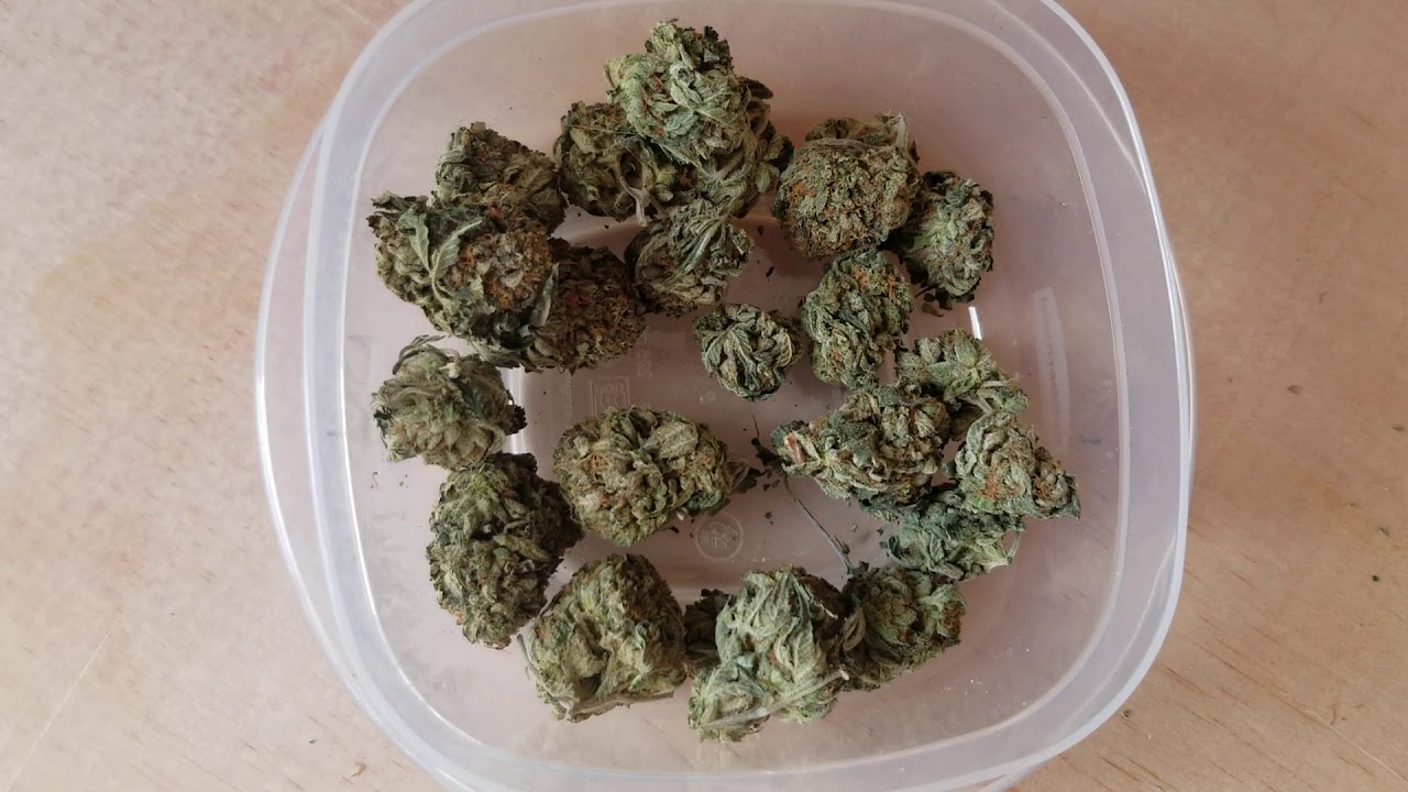 Mail order marijuana - LowPricebud