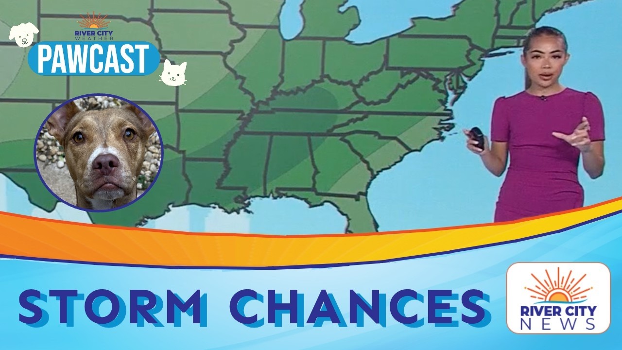 San Antonio Area Weather: Upper 80s & Weekend Storms | PAWCAST