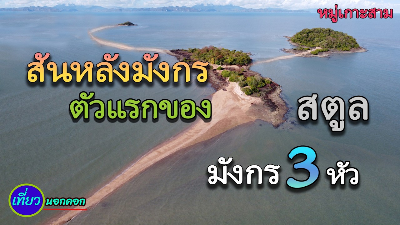 สันหลังมงกรขาว หรือ มังกรสามหัว ตามล่าหาทั้ง 3 หัวของมังกรตัวแรกที่ จ.สตูล ที่มีความยาวถึงสี่กิโล