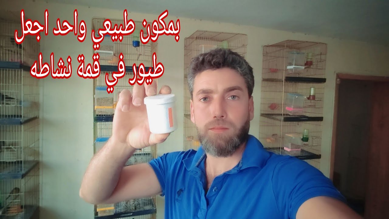 بثلالث غرامات وخلطة العصر لإنهاء مرحلة الريش عند عصافير الكناري و الحسون 