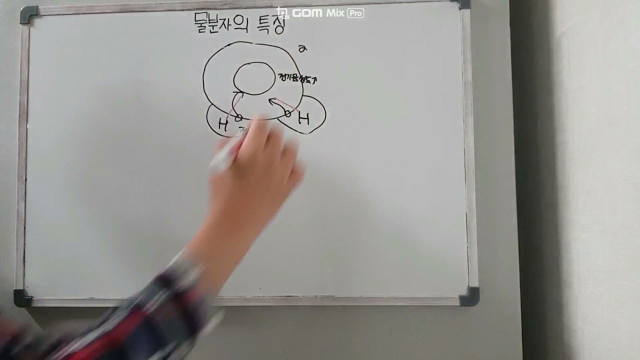 물의 성질