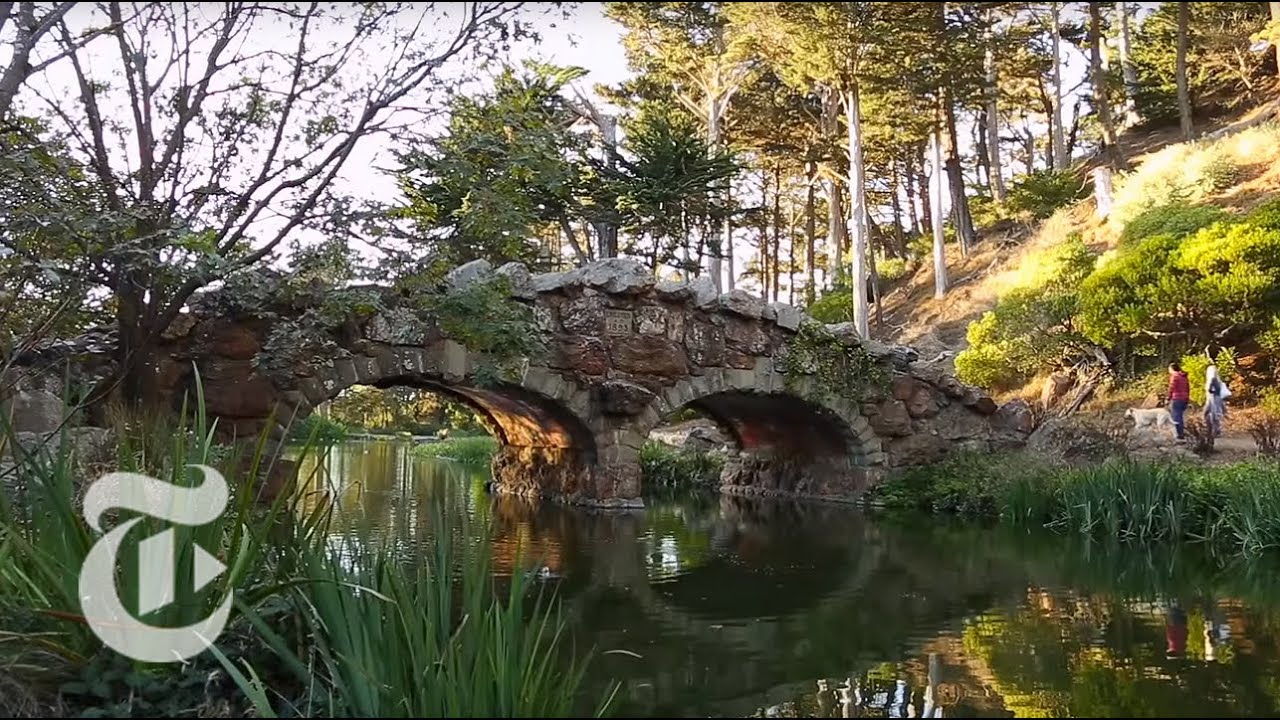 What to Do in San Francisco | 36 Hours Travel Videos | The New York Times