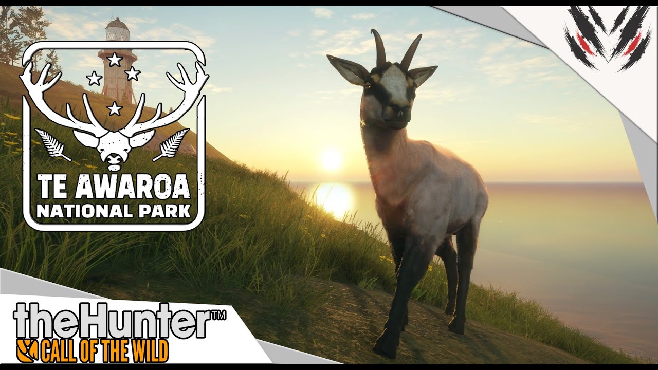 THE HUNTER COTW : TOUT SAVOIR SUR TE AWAROA