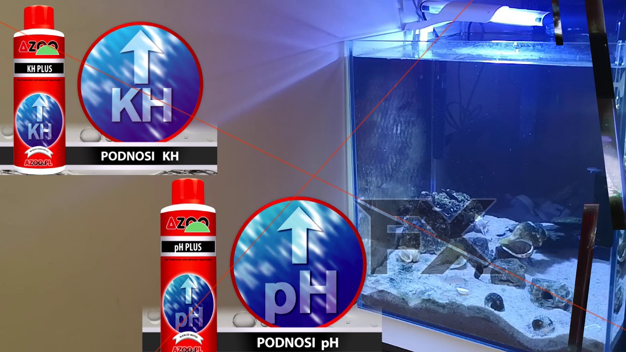 57 Akwarium 90L AZOO KH PLUS  AZOO pH PLUS  BIOTOP Tanganika cześć 2 Tanganika