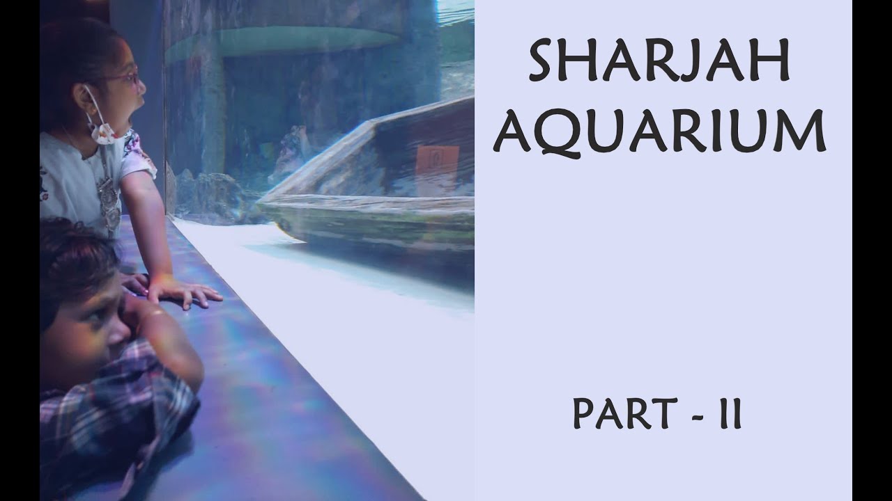 Sharjah Aquarium | Places to Visit in Sharjah | Deep Sea Fish Aquarium | Coral Reef Fish | UAE Coral