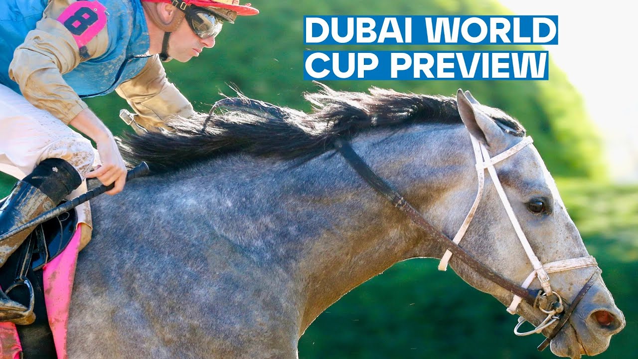 DUBAI WORLD CUP PREVIEW - HIT SHOW SHOOTS FOR $12m IN DUBAI