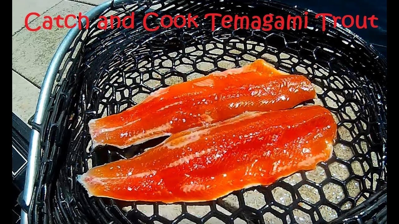 Catch and Cook Temagami Lake Trout