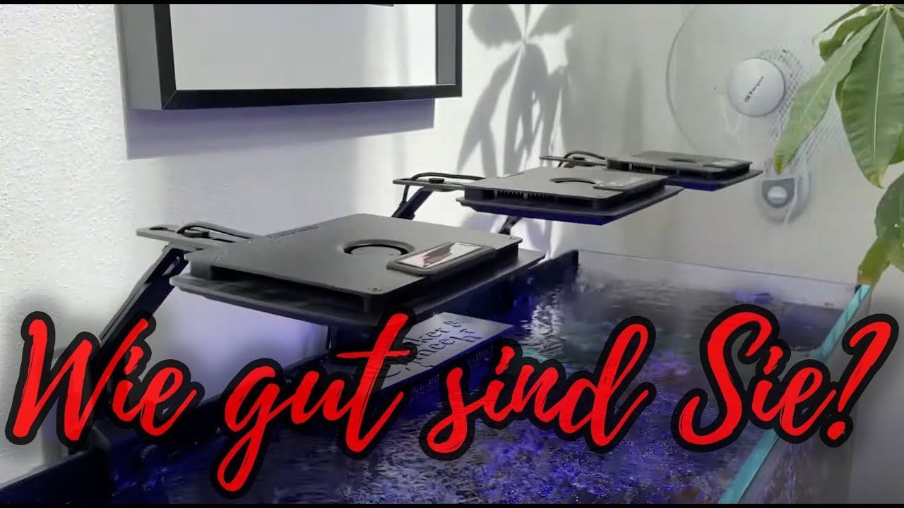 Showtank Teil 49 - 4 Monate mit den neuen LEDs von Maxspect