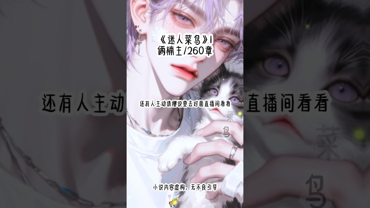 《迷人菜鸟》