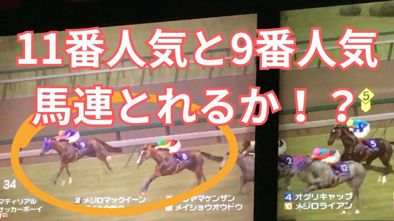 スタホプログレスR 廃ベッターになろうとする始めて2か月目の初心者