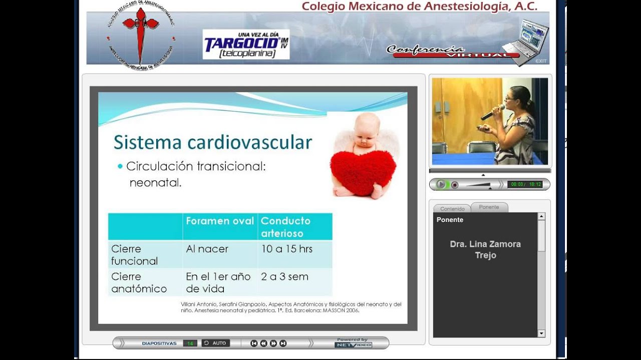 COMEXANE- Junio 2010 - Diferencias Anatómicas y Fisiológicas entre el Neonato y el Adulto