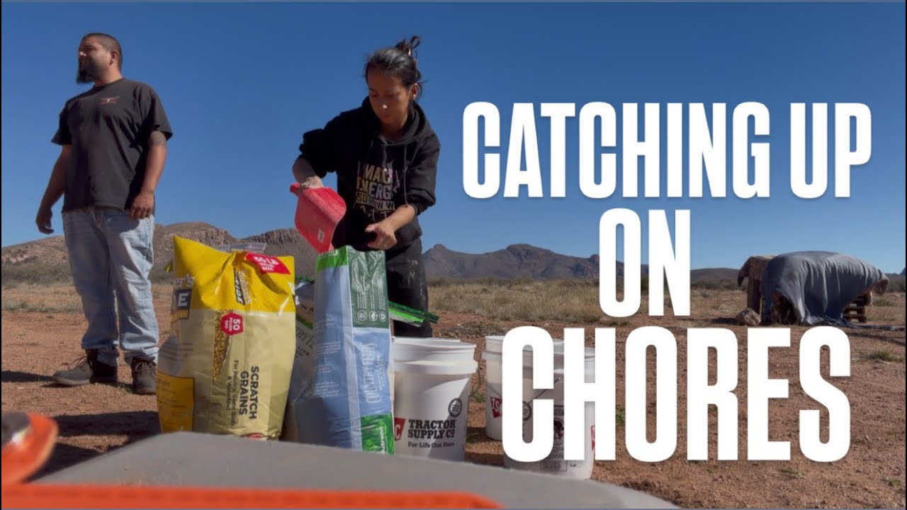 Catching up on OFF GRID CHORES