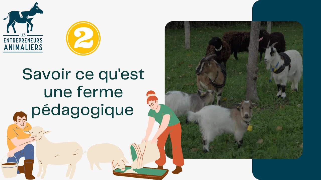 Qu'est-ce qu'une ferme pédagogique ? [2/10]