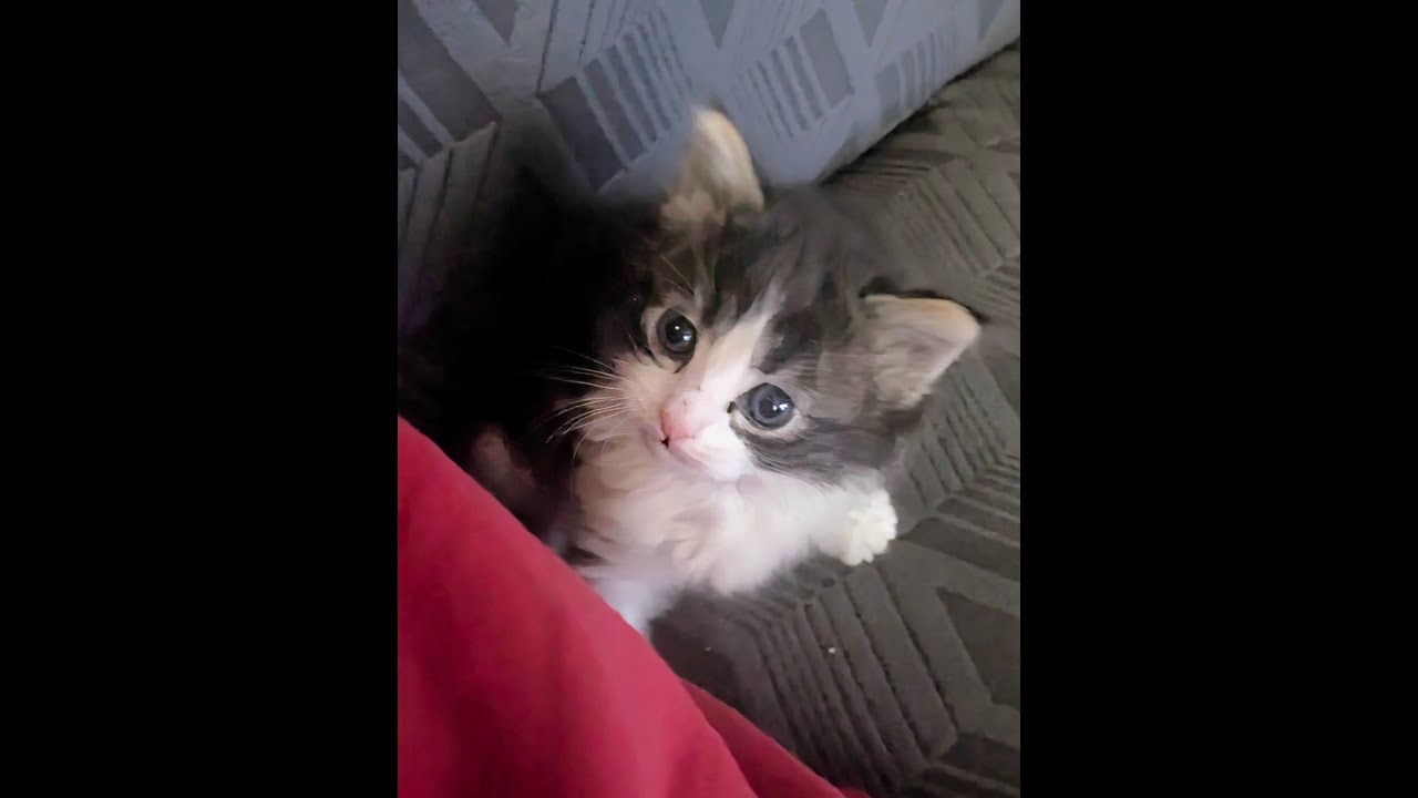 Benjamin is off to find his Forever Family