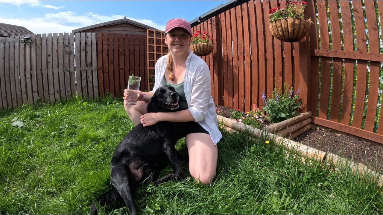 Gardening alongside my dog and cat in the sun 