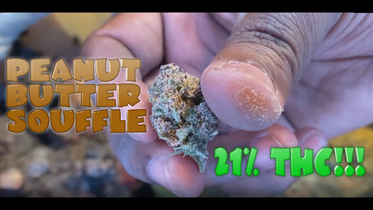 Weed Smoking Session #17 - Peanut Butter Souffle