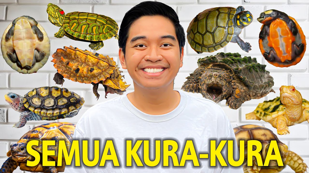 KONDISI SEMUA KURA-KURA YANG ADA DI RUMAH AKU!