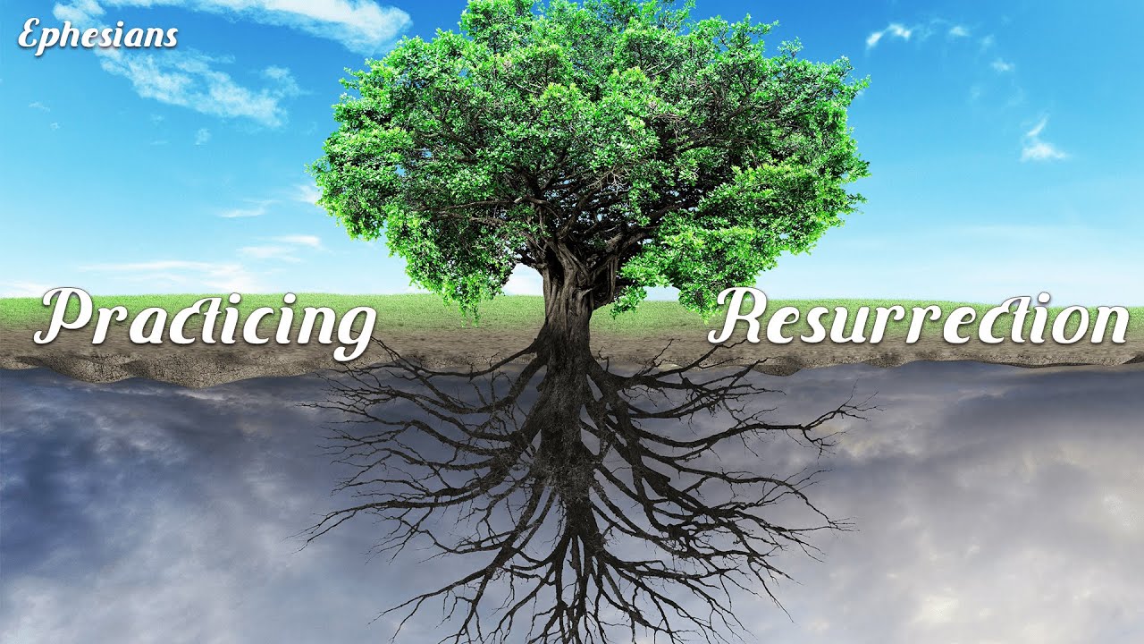 The Cycle of Spiritual Growth // Practicing Resurrection (Part 3) (Brandon Cannon)