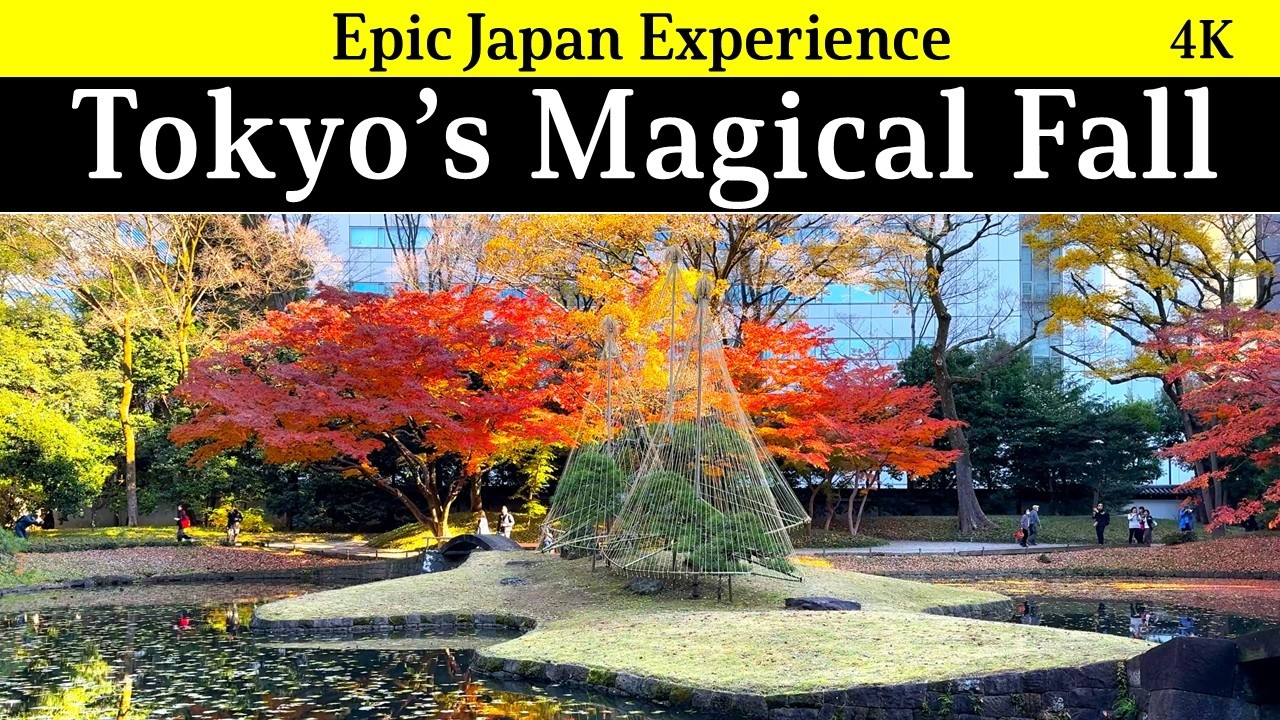 4KJapan, Tokyo's designated best aumtumn foliage!