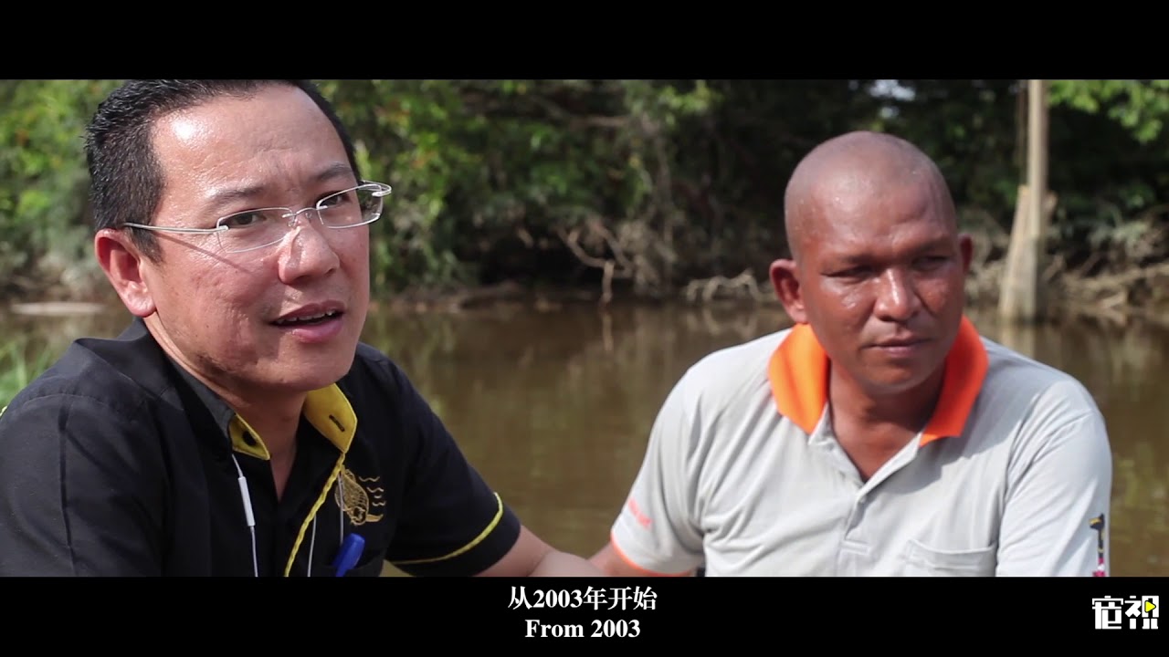 Dream of Arowana. Episode 4. 寻龙记，第四集开播！！！希望各位龙友能找到共鸣，大家一起努力，让金龙传奇延续下去！