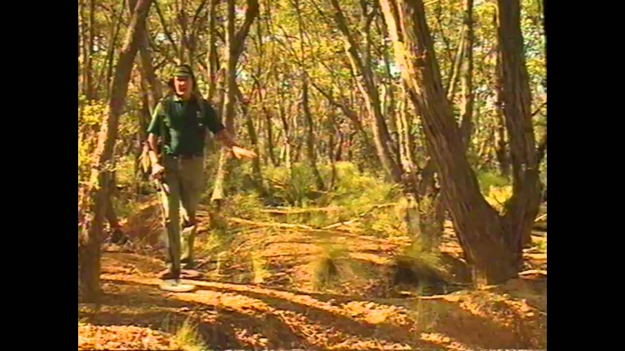 Minelab SD2200d Vid Inst P-1