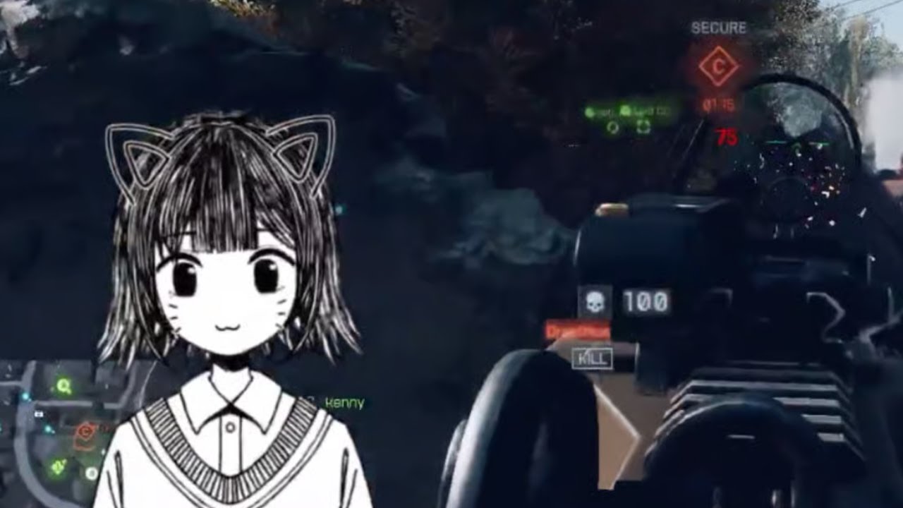the trans catgirl aimbot situation