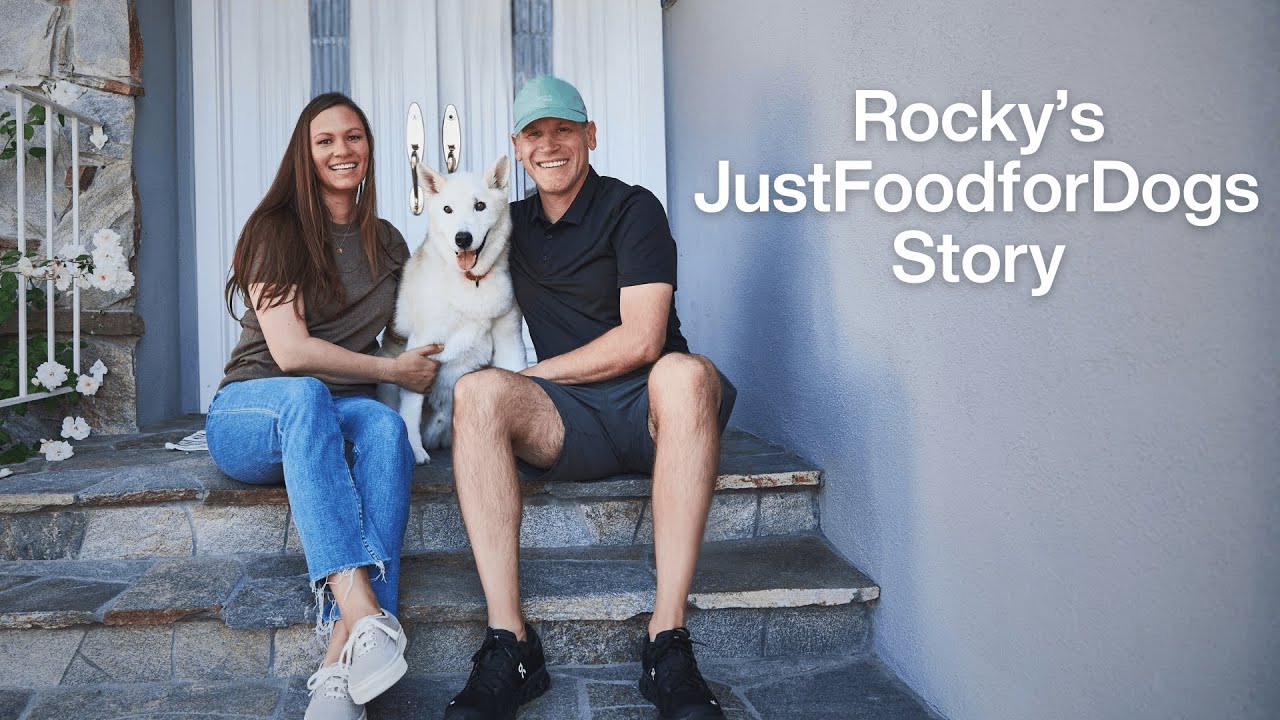 Helping a Malnourished Dog Recover and Thrive | JustFoodforDogs