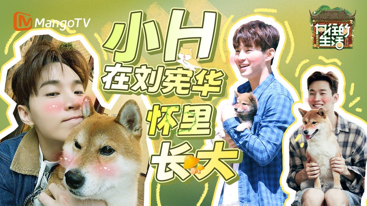 【SPECIAL】还是熟悉的感觉！刘宪华第一次见小H就用亲吻建立深厚友谊 从夏天到冬天 小H也从未忘记大华！|《向往的生活》Back To Field  | MangoTV