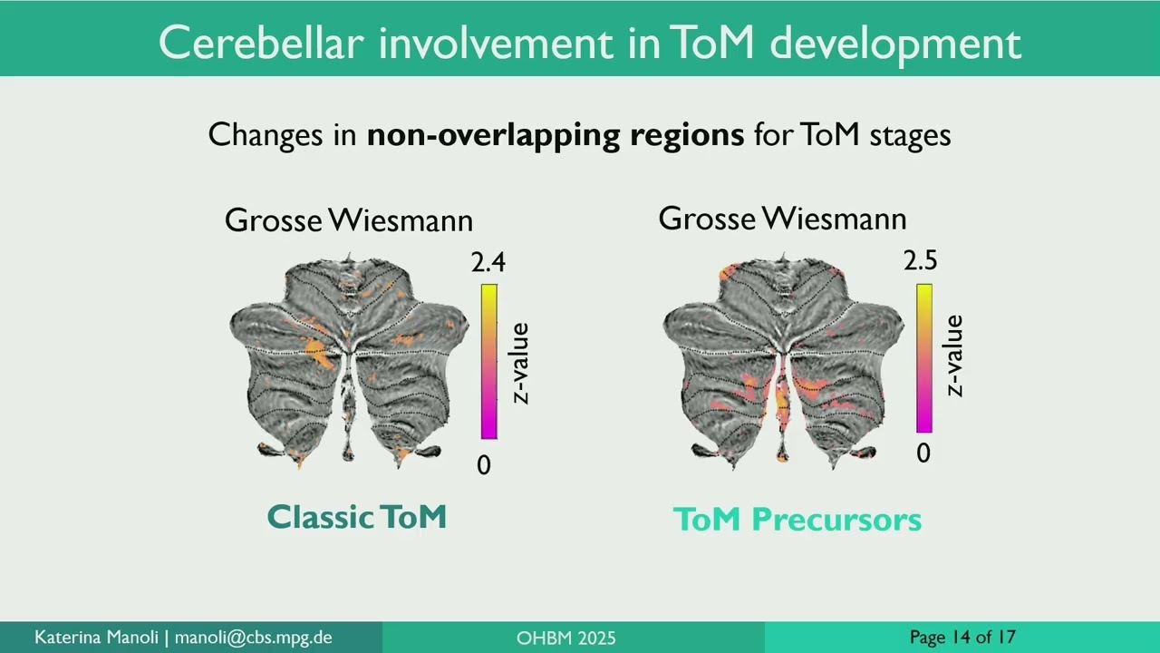 OHBM 2025 | Oral Session | Aikaterina Manoli | Cerebellar Volumetric Changes Support Two Systems o…