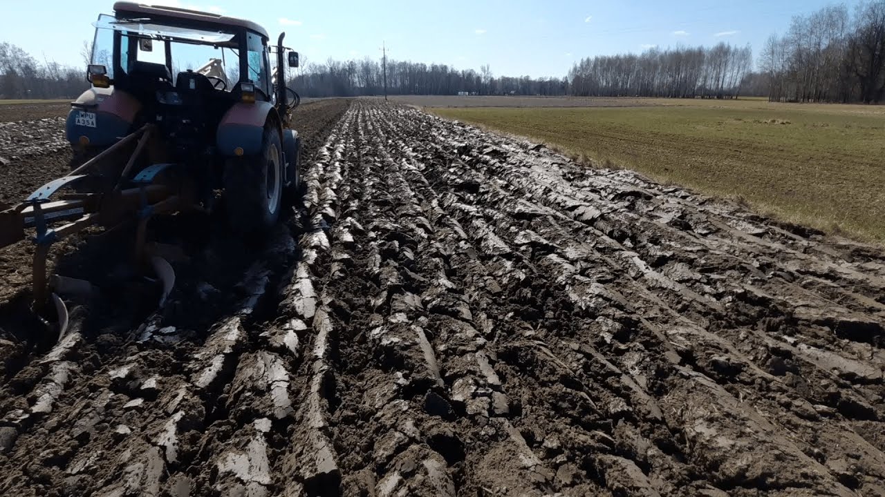 #84 Wiosenna Orka 2022 Pod Kukurydzę || Zetor 8441 Proxima & Kverneland 4 Skibowy