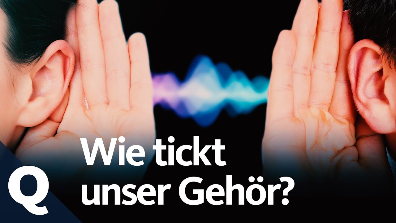 Besser hören: Was wir dafür tun können (Ganze Folge) | Quarks