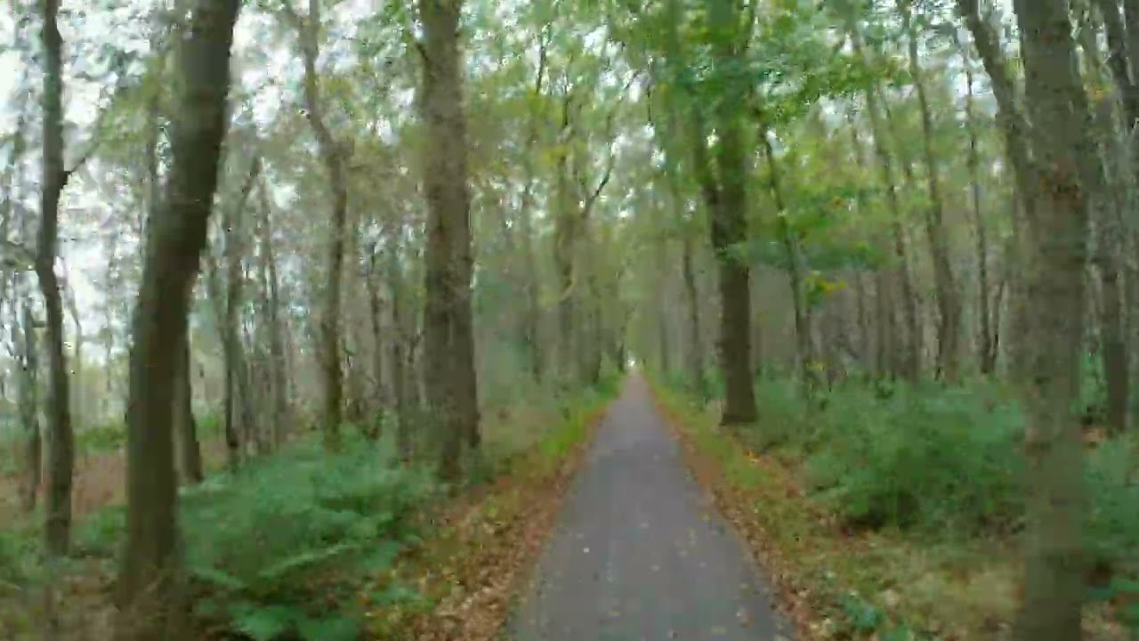 Hjerst! fytse troch de Plantage 3 november 2022 12:19:09