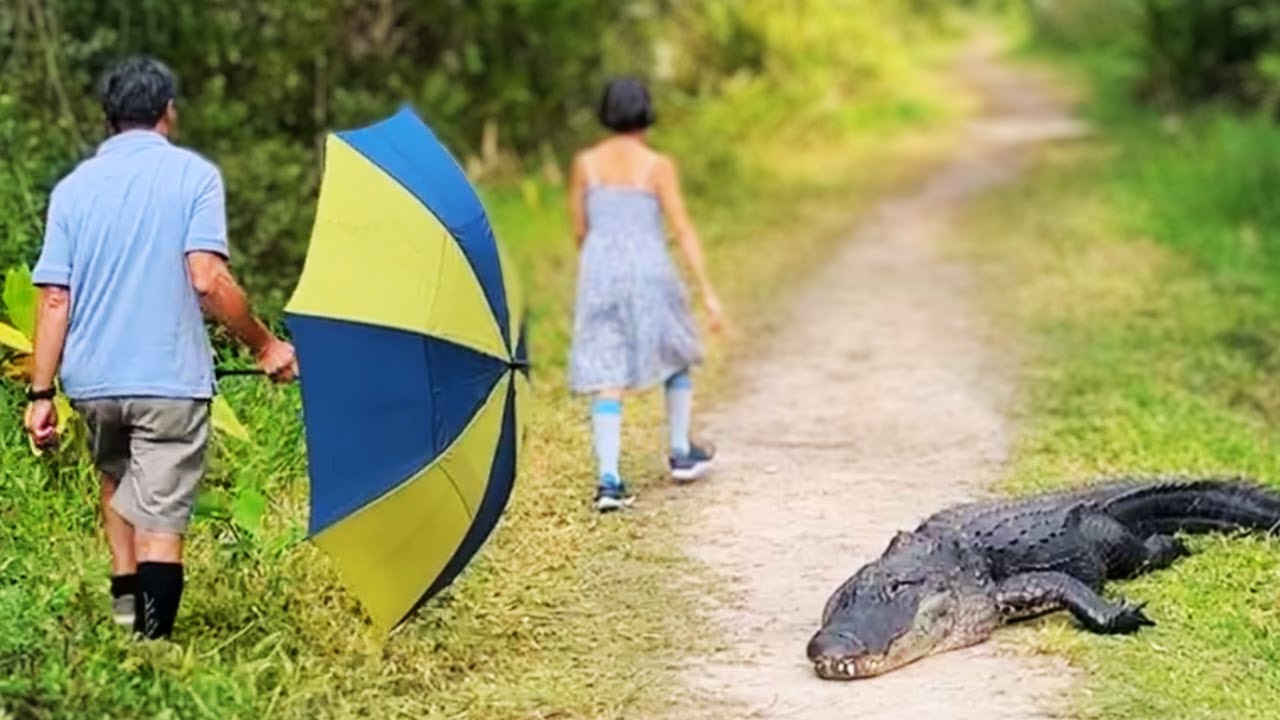 Alligator Infested Hiking Trail