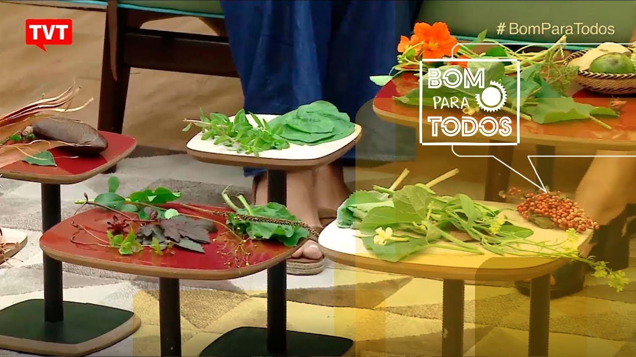 Pancs, as plantas consideradas 