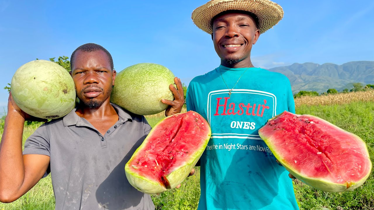 Bon nouvel Jean Mary rekolte bel Jaden melon 🍉 an