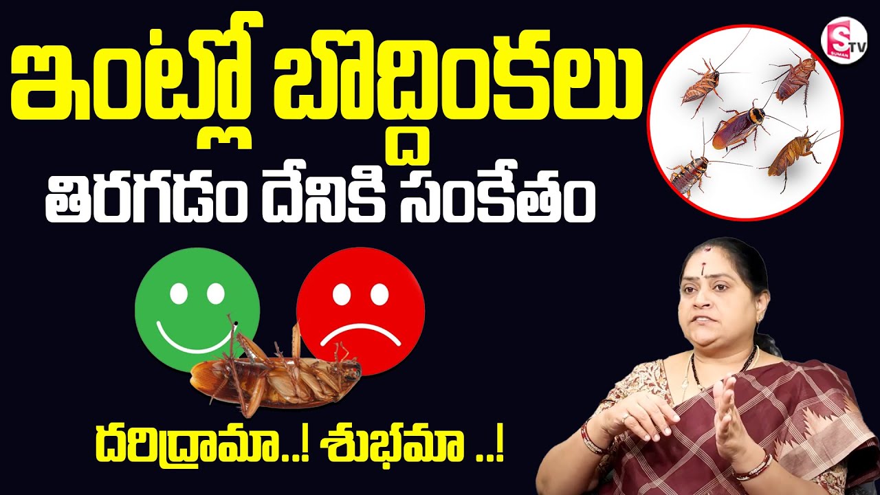 ఇంట్లో బొద్దింకలు తిరగడం దేనికి సంకేతం!| How to Get Rid of Cockroaches Lizards | Rama Devi | SumanTV
