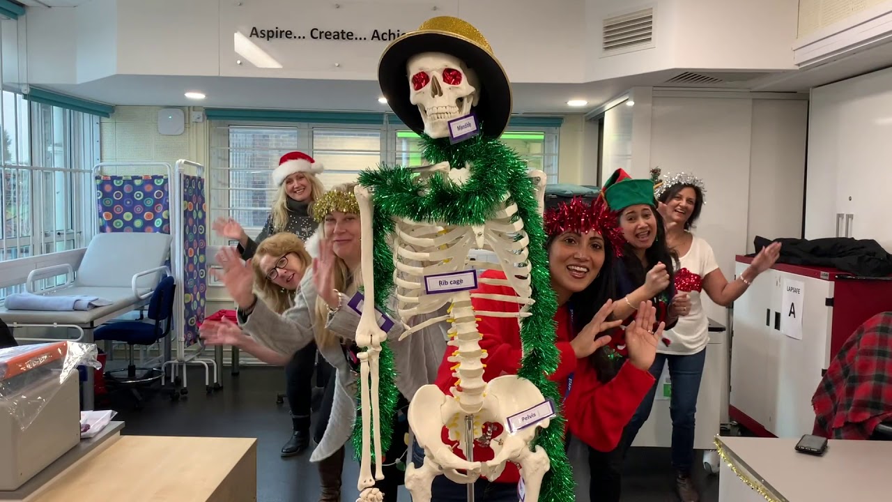 Springwell School Christmas Video (I Wish It Could Be Christmas Everyday)