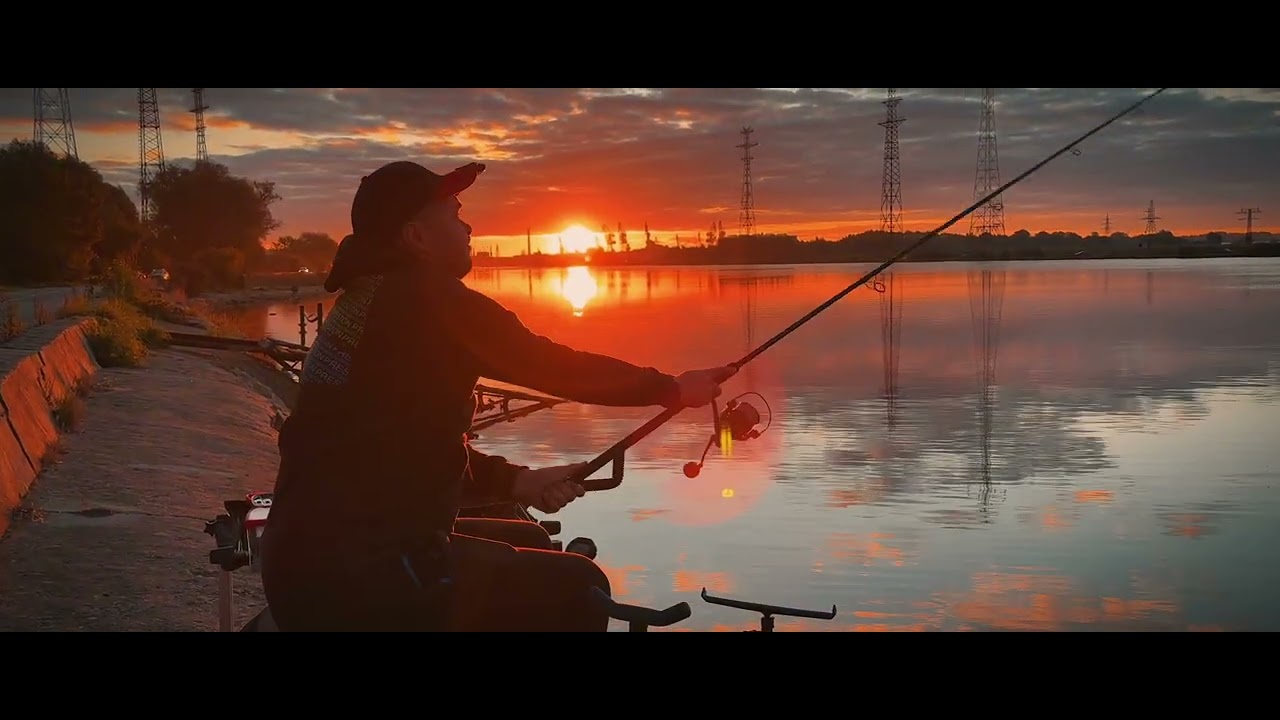 WILD presents: Teaser Feeder Fishing
