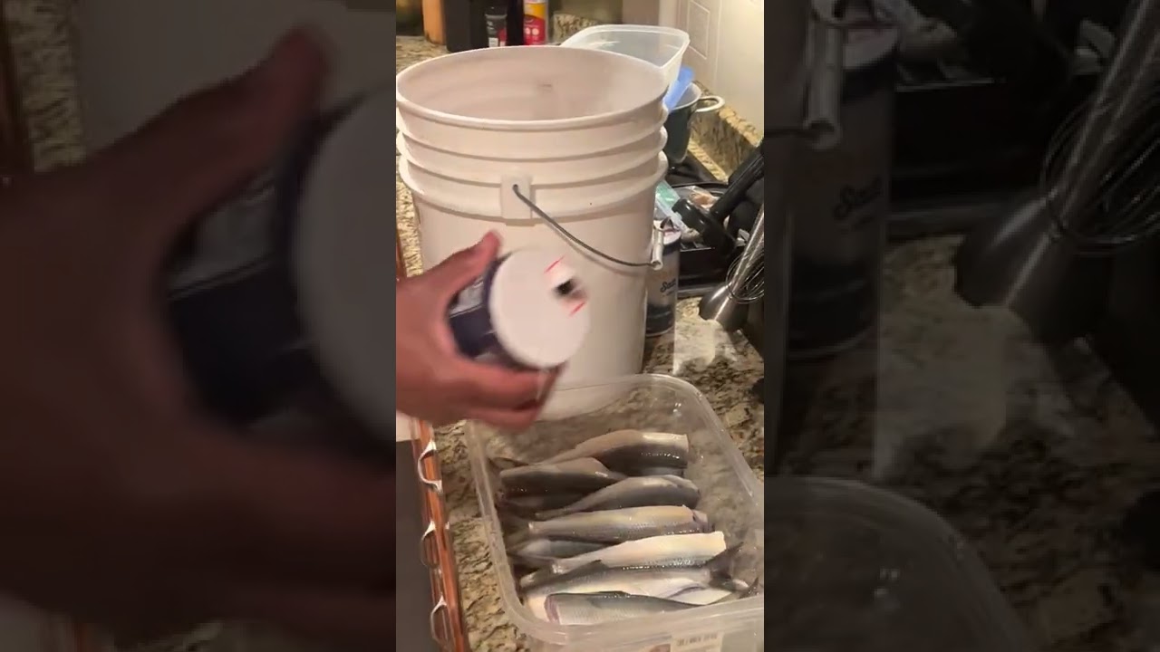 How to Prep Salt Herring