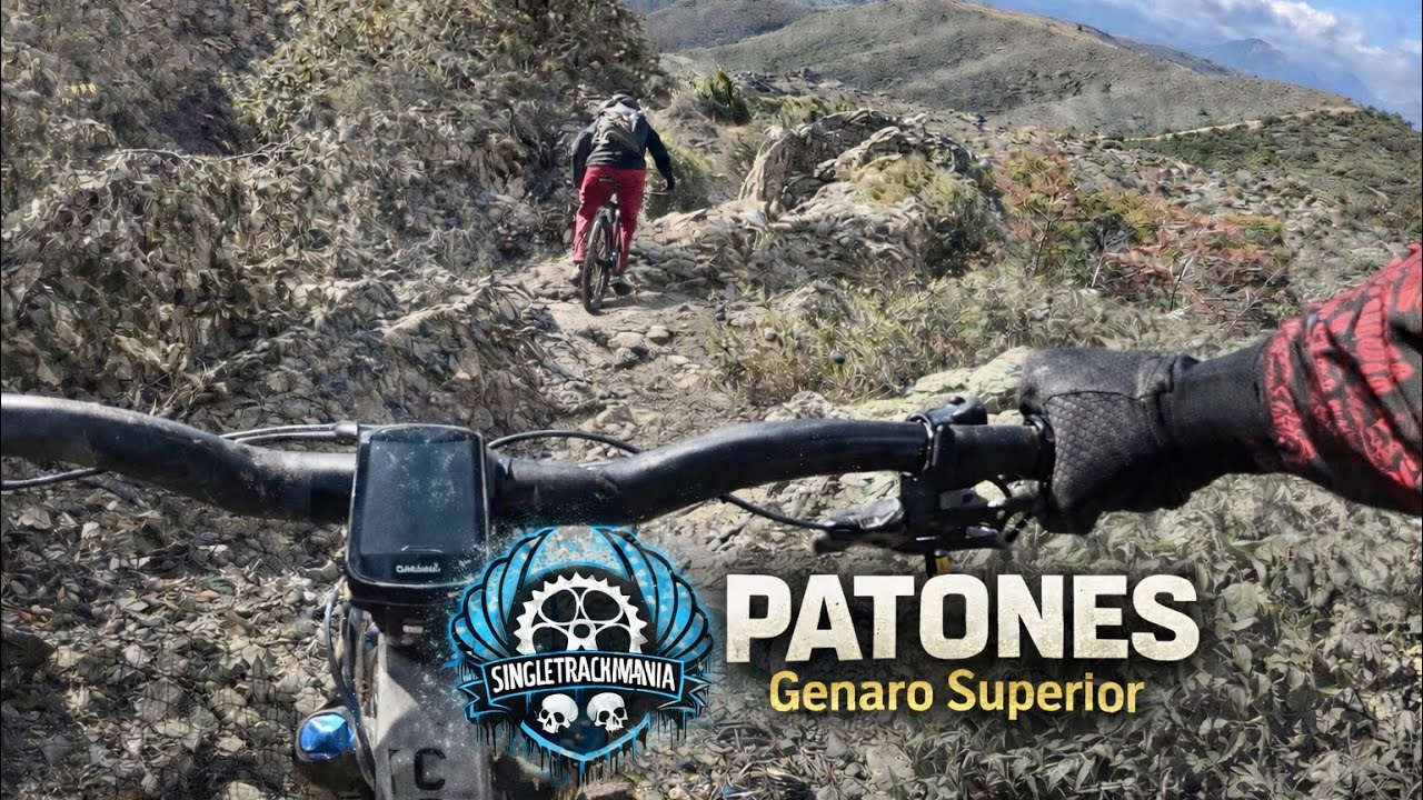 PATONES - Genaro Superior, 31 de enero de 2026