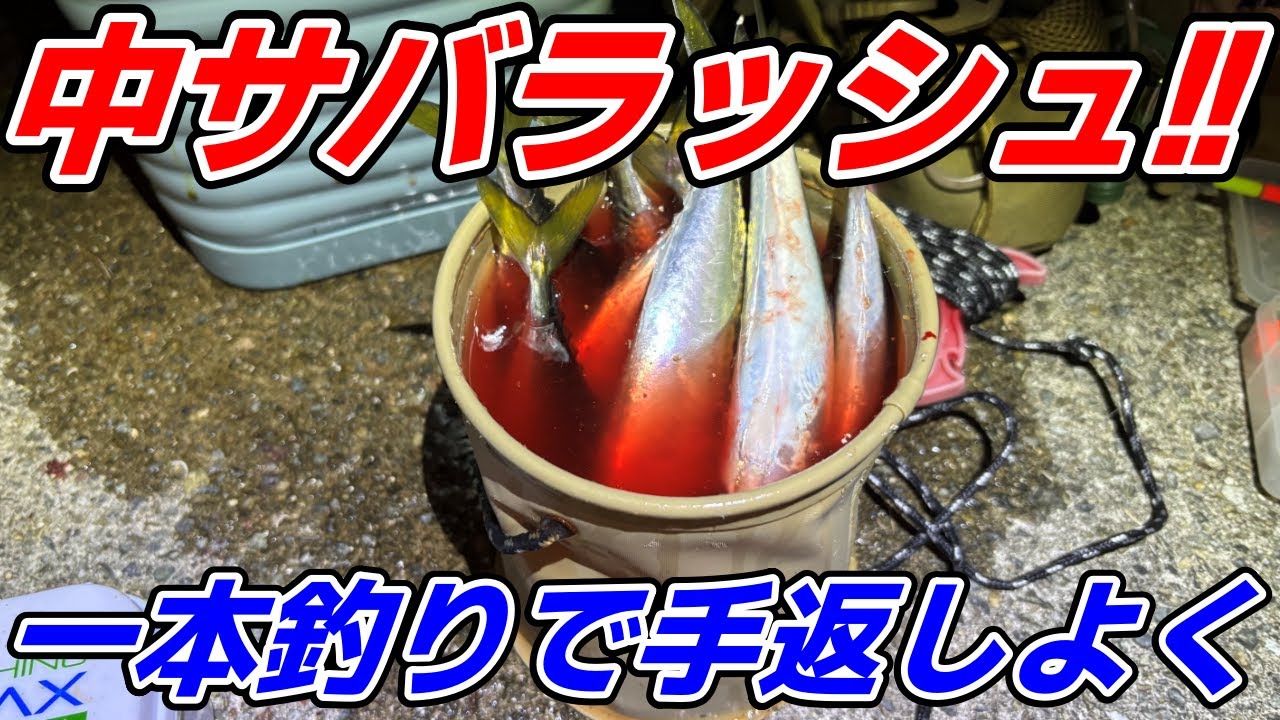 【西宮浜】横走りするウキ！中サバのイソメ流し釣りはサビキと違う面白さ♪