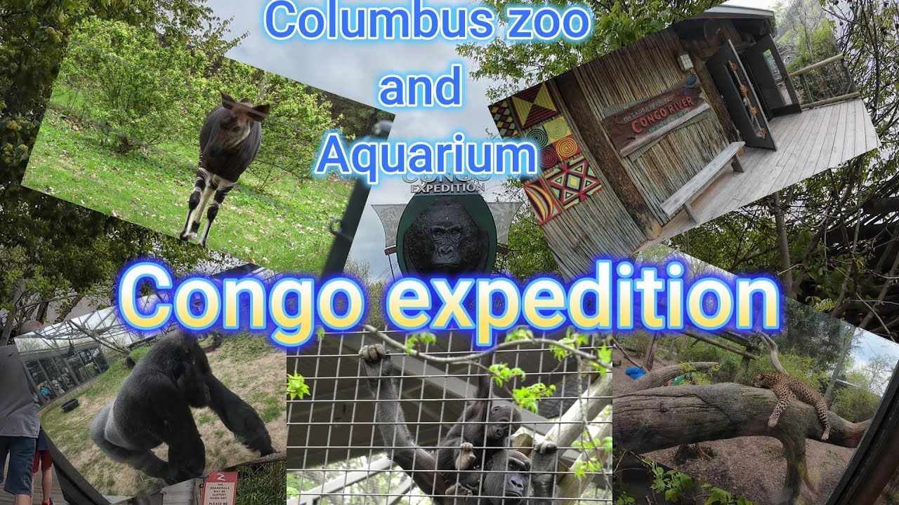 Columbus zoo and Aquarium the spectacular Congo Expedition - Full tour