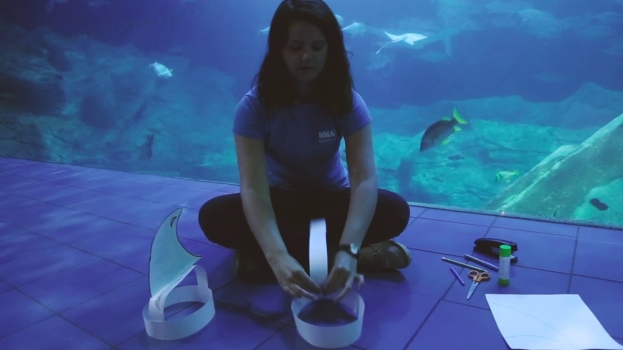 Shark Hat - Aquarium Toddler Crafts (Ep.14)