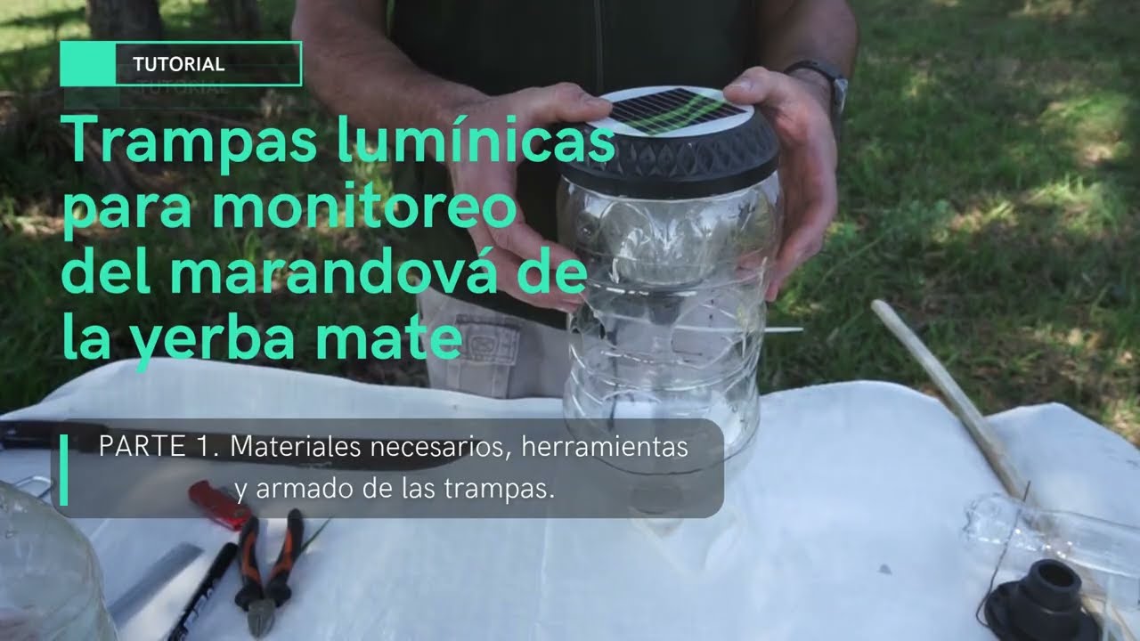 TRAMPA LUMÍNICA MARANDOVÁ   PARTE UNO