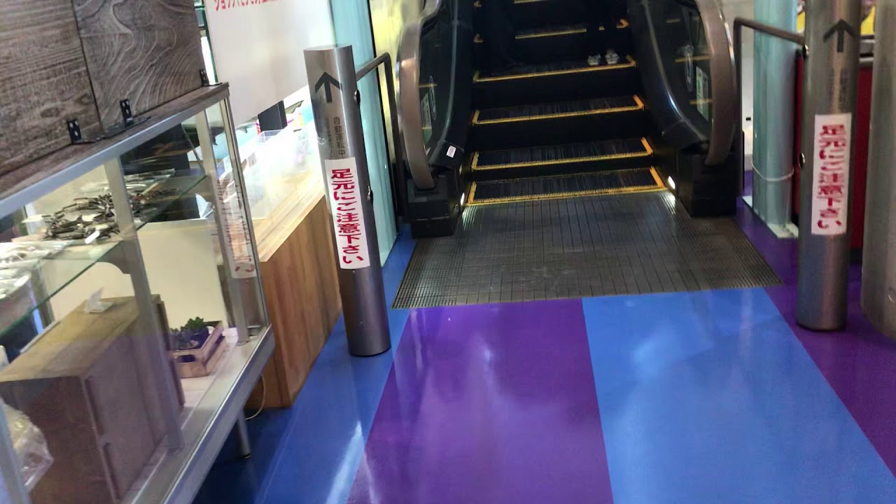 【水族館エスカレーター】アクアワールド大洗 展望良すぎなエスカレーター