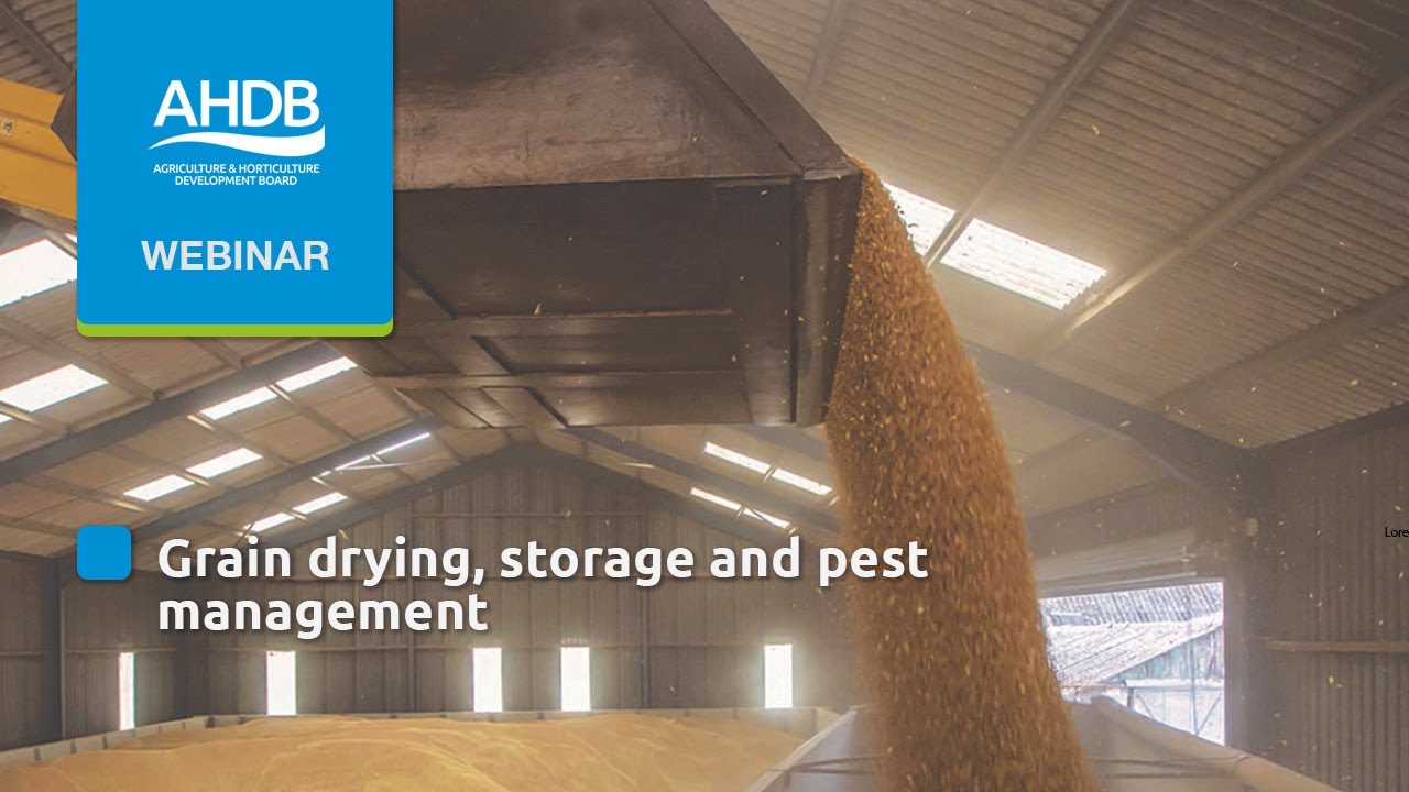 Grain drying, storage and pest management