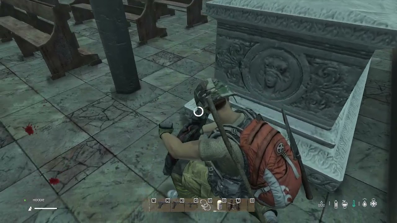 DAYZ SURVIVE