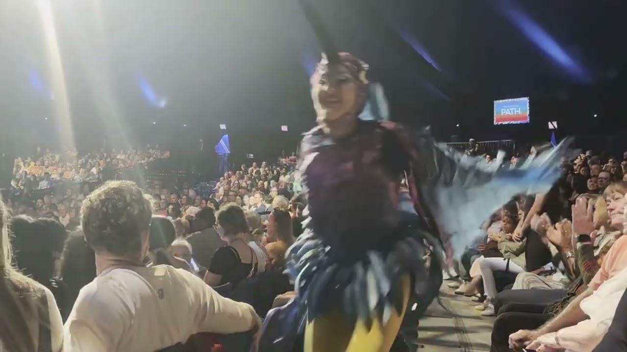 Cirque Du Soleil - Luzia
